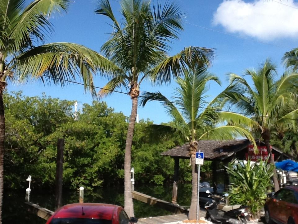Banana Bay Resort (Adults Only) Ки-Уэст Экстерьер фото