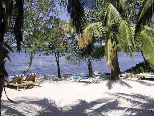 Banana Bay Resort (Adults Only) Ки-Уэст Экстерьер фото